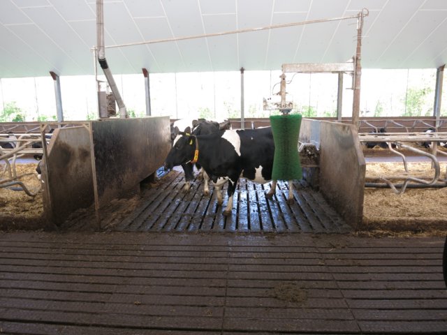 HWK Wekerom024.jpg